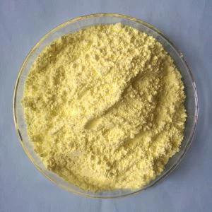 Pan-pasarang nga Magturutdo nga Kagurangan nga MBTS/DM{1}